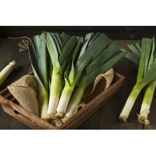 Potage Poireaux 300 ml